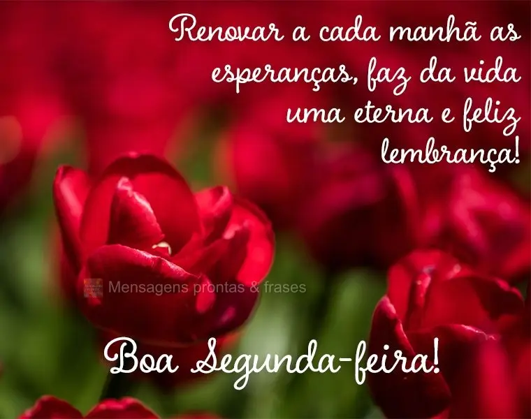 Renovar a cada manhã as esperanças, faz da vida uma eterna e feliz lembrança!  Boa Segunda-feira!