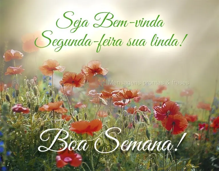 Seja Bem-vinda Segunda-feira, sua linda!  Boa Semana!