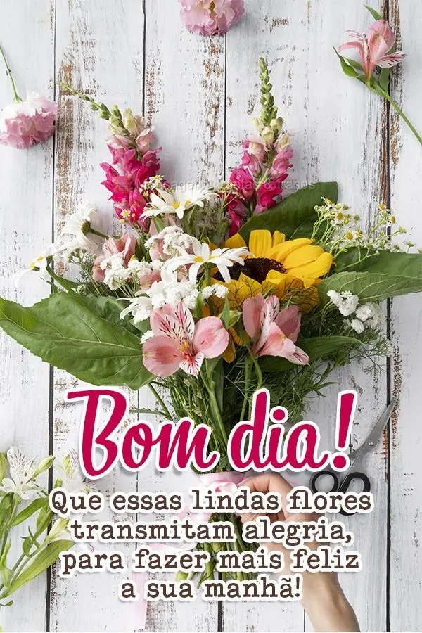 Que essas lindas flores transmitam alegria para fazer mais feliz a sua manhã! Bom dia!