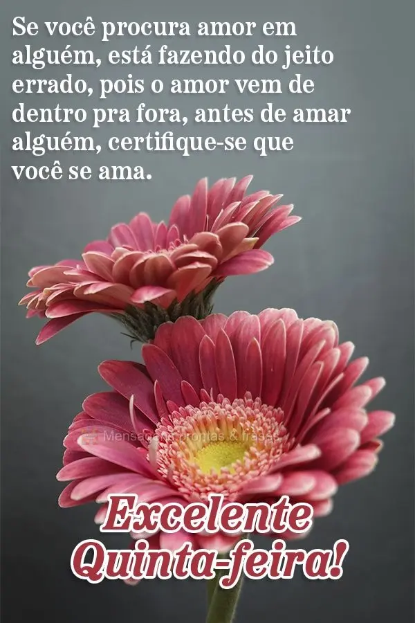 Se você procura amor em alguém, está fazendo do jeito errado, pois o amor vem de dentro pra fora, antes de amar alguém, certifique-se que você se am...