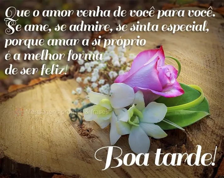 Que o amor venha de você para você. Se ame, se admire, se sinta especial, porque amar a si próprio é a melhor forma de ser feliz! Boa tarde!