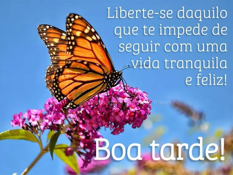 Liberte-se daquilo que te impede de seguir com uma vida tranquila e feliz! Boa tarde!
