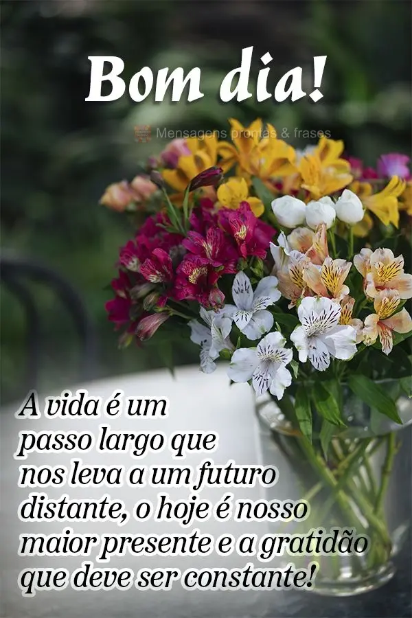 A vida é um passo largo que nos leva a um futuro distante, o hoje é nosso maior presente e a gratidão que deve ser constante! Bom dia!