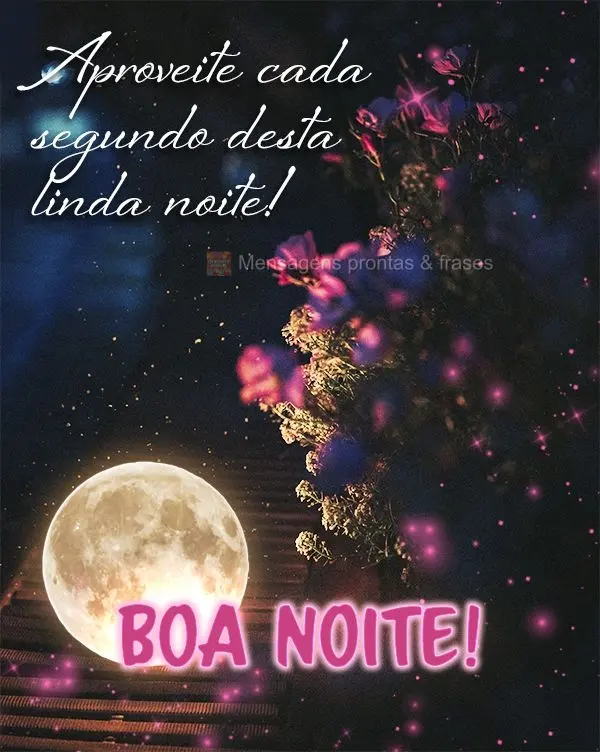 Aproveite cada segundo desta linda noite! Boa noite!