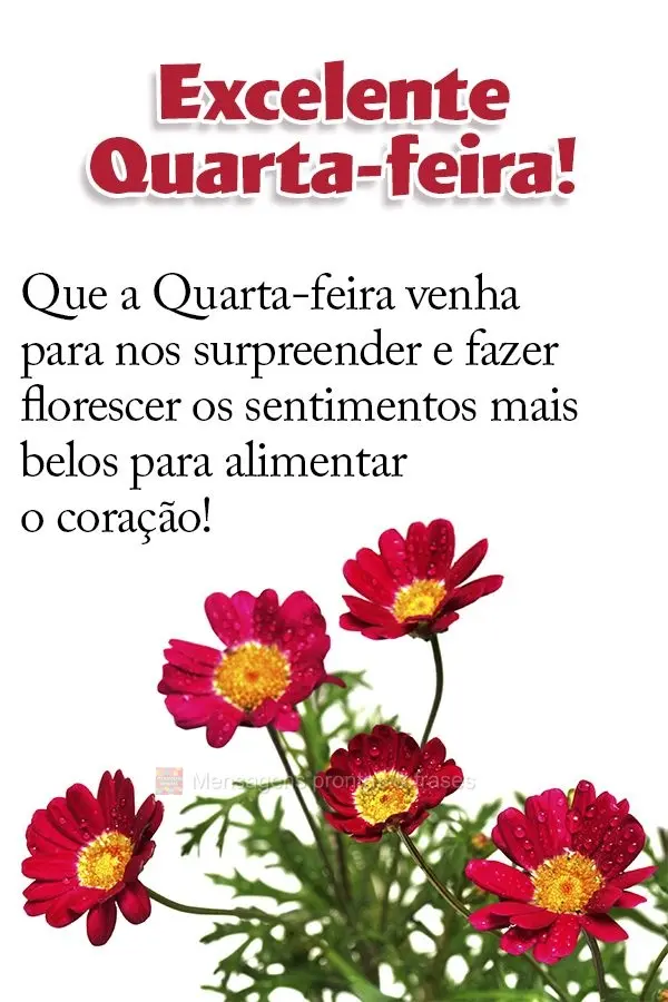Que a Quarta-feira venha para nos surpreender e fazer florescer os sentimentos mais belos para alimentar o coração! Excelente Quarta-feira!