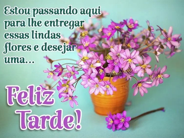 Estou passando aqui para lhe entregar essas lindas flores e desejar uma...  Feliz tarde!