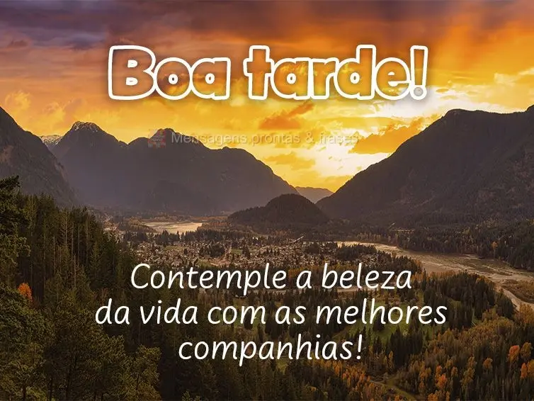 Contemple a beleza da vida com as melhores companhias! Boa tarde!