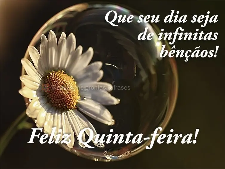 Que seu dia seja de infinitas bênçãos! Feliz Quinta-feira!