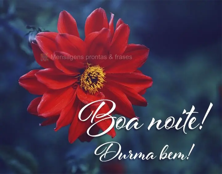 Boa noite! Durma bem!