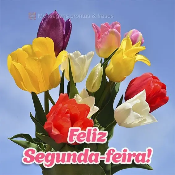 Feliz Segunda-feira!