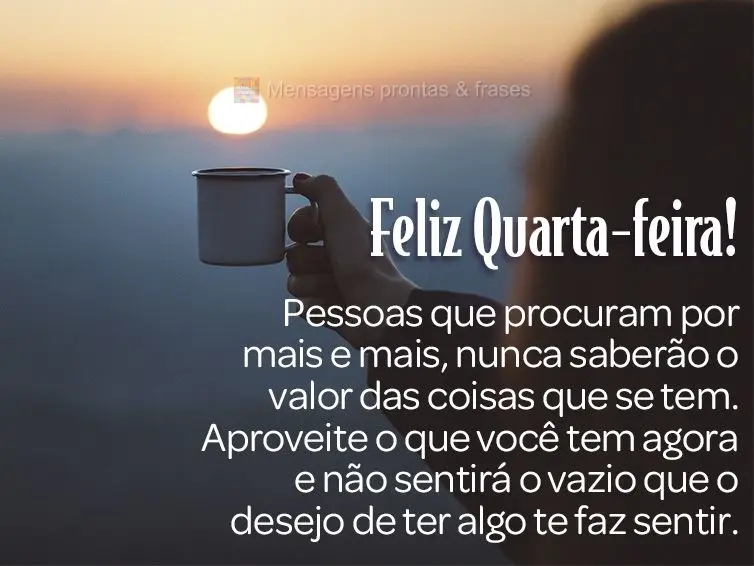 Pessoas que procuram por mais e mais, nunca saberão o valor das coisas que se tem. Aproveite o que você tem agora e não sentirá o vazio que o desejo ...