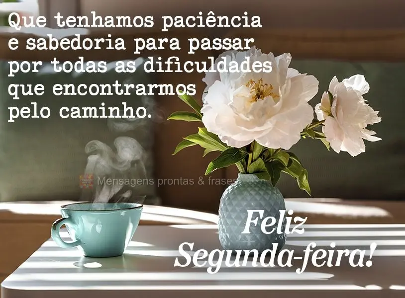 Que tenhamos paciência e sabedoria para passar por todas as dificuldades que encontraremos pelo caminho. Feliz Segunda-feira!