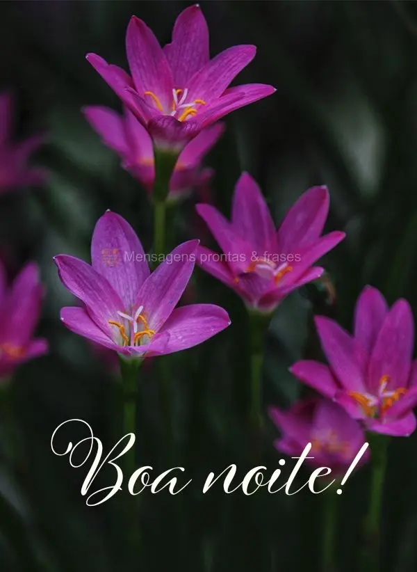 Boa noite!
