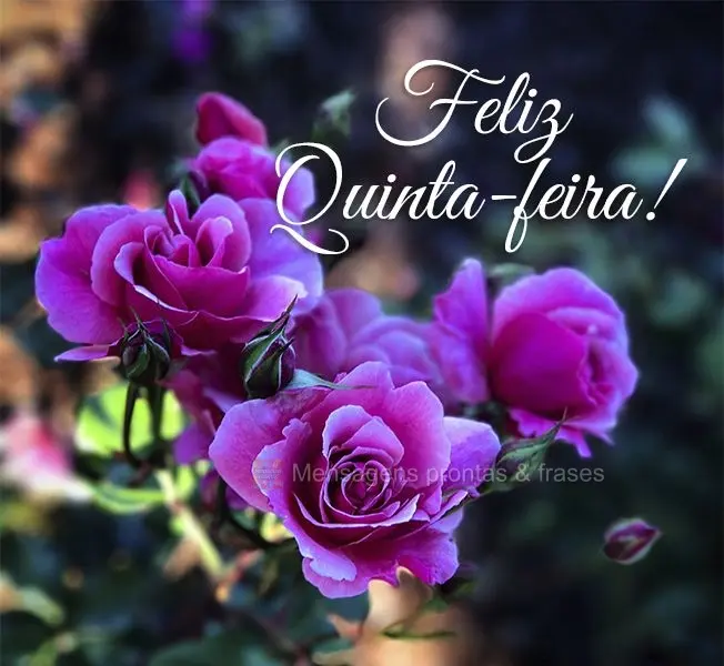 Feliz Quinta-feira!