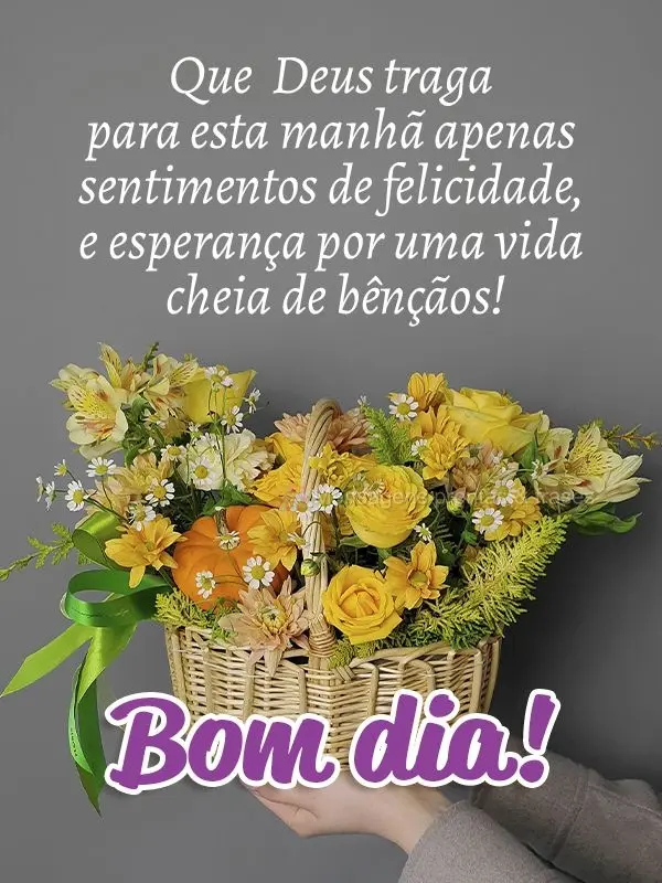 Que Deus traga para esta manhã apenas sentimentos de felicidade e esperança por uma vida cheia de bênçãos! Bom dia! 