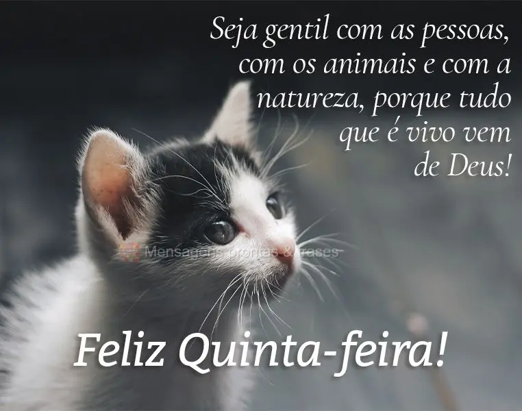 Seja gentil com as pessoas, com os animais e com a natureza, porque tudo que é vivo vem de Deus! Feliz Quinta-feira! 