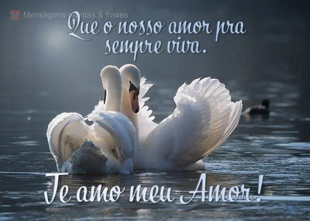 Que o nosso amor pra sempre viva.
 Te amo meu Amor!