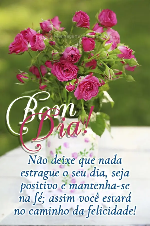 Não deixe que nada estrague o seu dia, seja positivo e mantenha-se na fé; assim você estará no caminho da felicidade! Bom dia!
