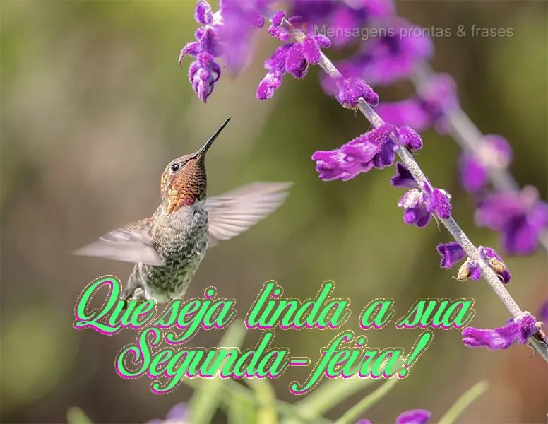 Que seja linda a sua Segunda-feira!