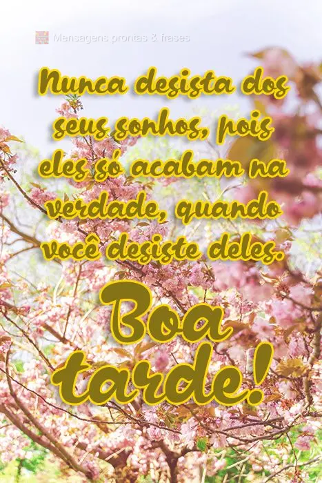 Nunca desista dos seus sonhos, pois eles só acabam na verdade, quando você desiste deles.  Boa Tarde! 