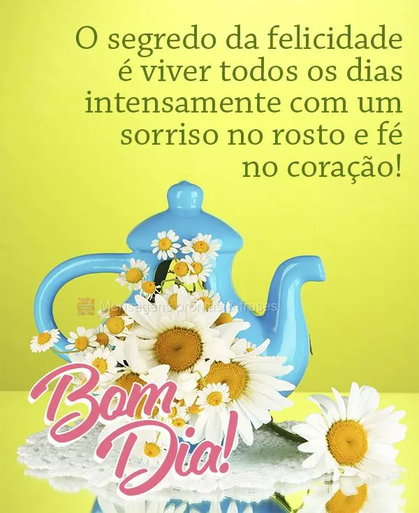O segredo da felicidade é viver todos os dias intensamente com um sorriso no rosto e fé no coração! Bom dia! 