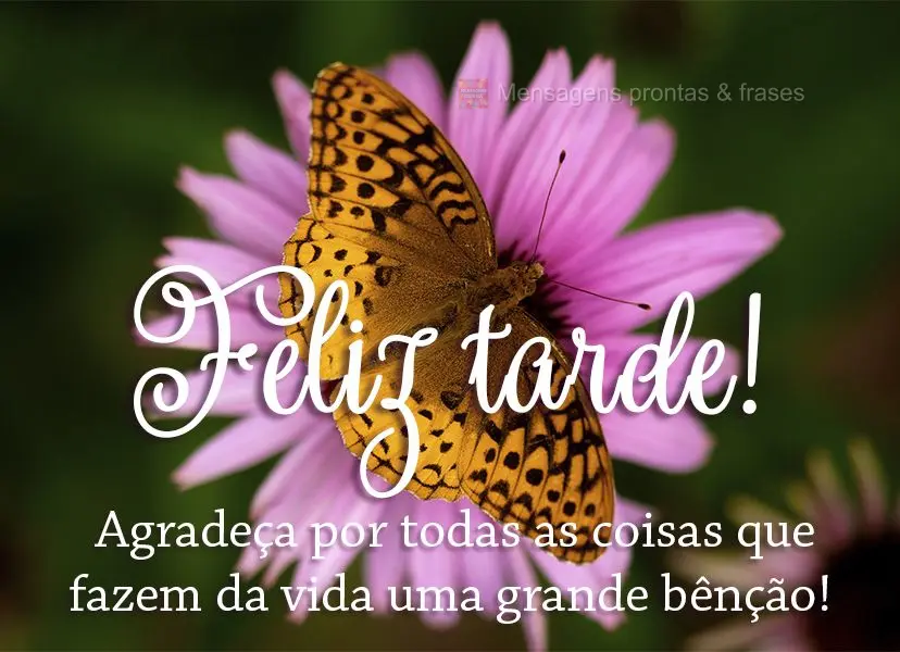 Agradeça por todas as coisas que faz da vida uma grande bênção! Feliz tarde! 