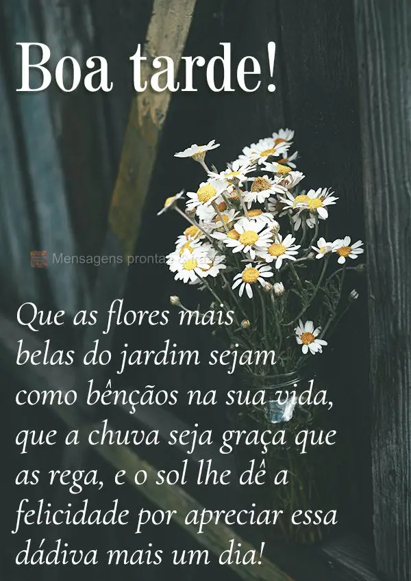Que as flores mais belas do jardim sejam como bênçãos na sua vida. Que a chuva seja graça que as rega, e o sol lhe dê a felicidade por apreciar essa...