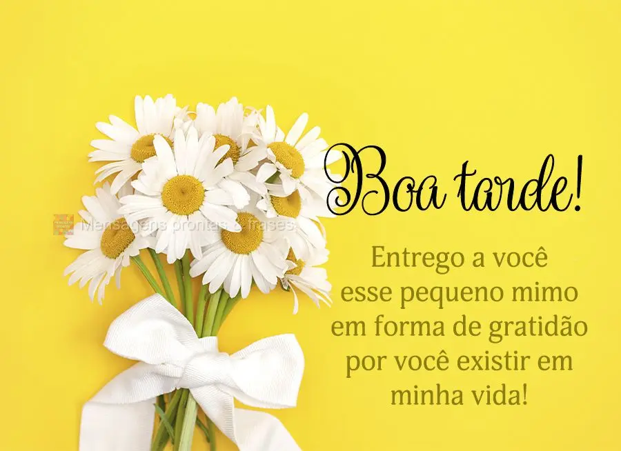Entrego a você esse pequeno mimo em forma de gratidão por você existir em minha vida! Boa tarde! 