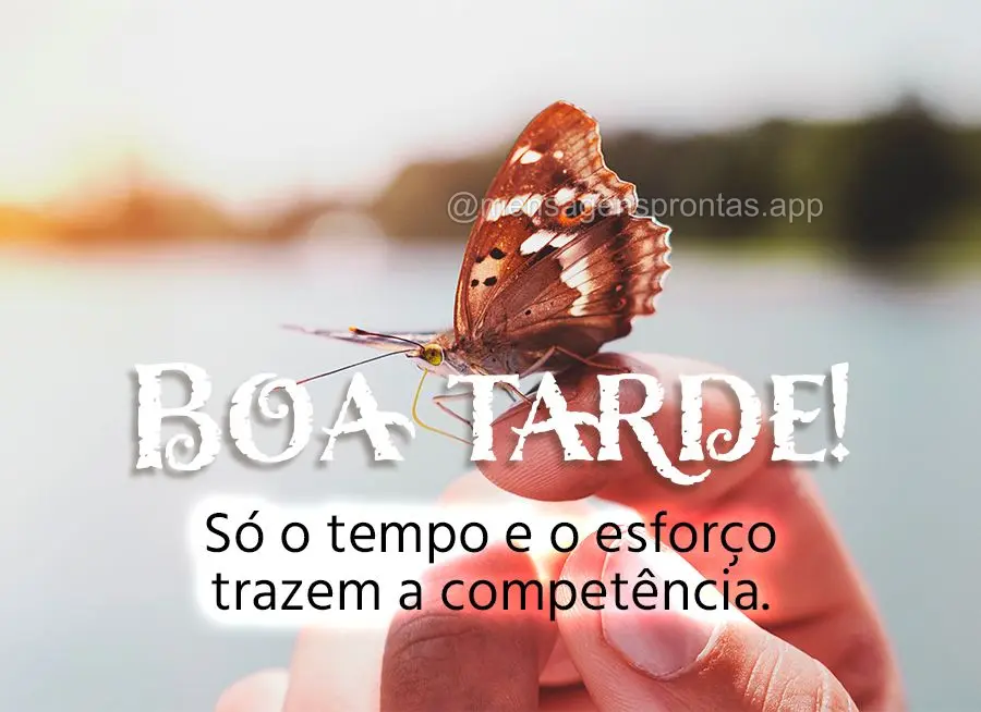 Só o tempo e o esforço trazem a competência. Boa tarde! 