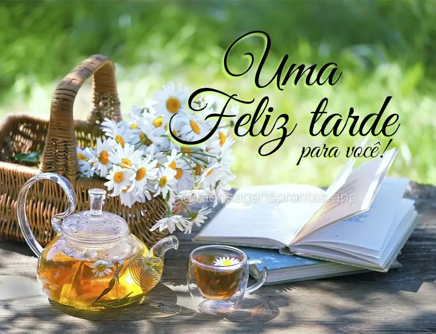 Uma Feliz tarde para você!