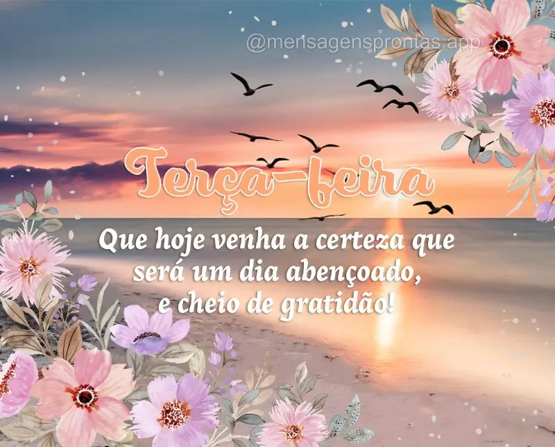 Que hoje venha a certeza que hoje será um dia abençoado, e cheio de gratidão! Terça-feira