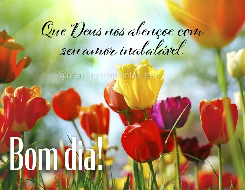 Que Deus nos abençoe com seu amor inabalável. Bom dia!