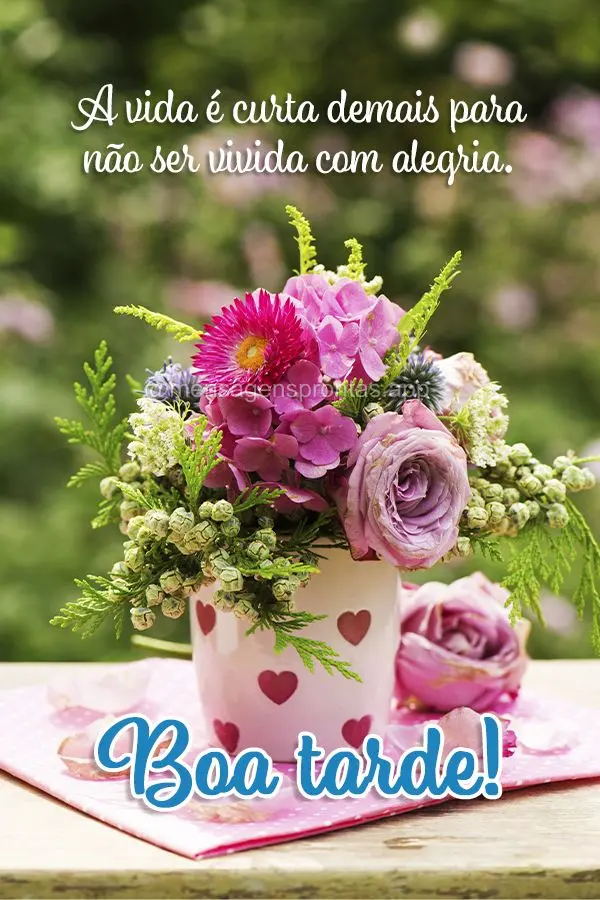 A vida é curta demais para não ser vivida com alegria. Boa tarde!
