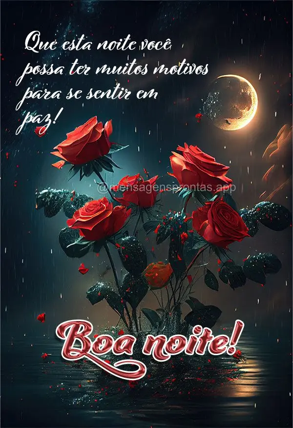 Que esta noite você possa ter muitos motivos para se sentir em paz! Boa noite!