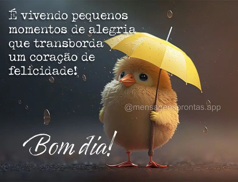 É vivendo pequenos momentos de alegria que transborda um coração de felicidade! Bom dia!