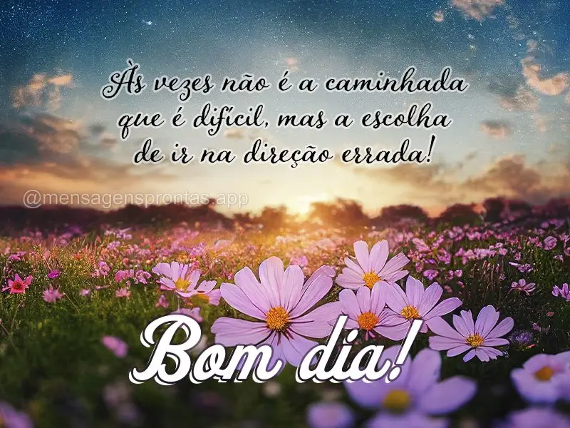 Às vezes não é a caminhada que é difícil, mas a escolha de ir na direção errada! Bom dia!