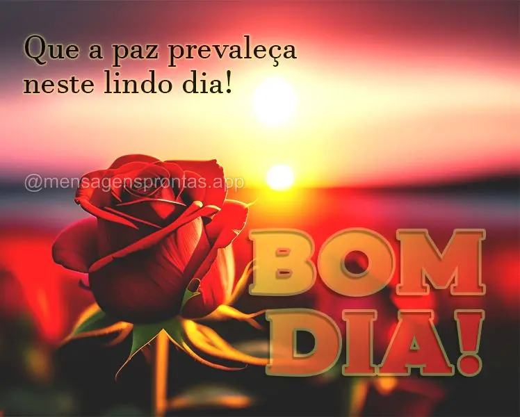 Que a paz prevaleça neste lindo dia! Bom dia!