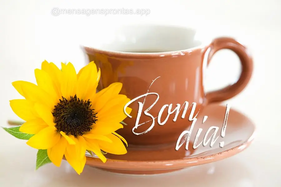 Bom dia!