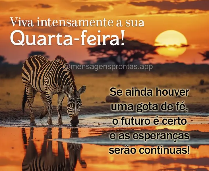 Se ainda houver uma gota de fé, o futuro é certo e as esperanças serão continuas! Viva intensamente a sua Quarta-feira!
