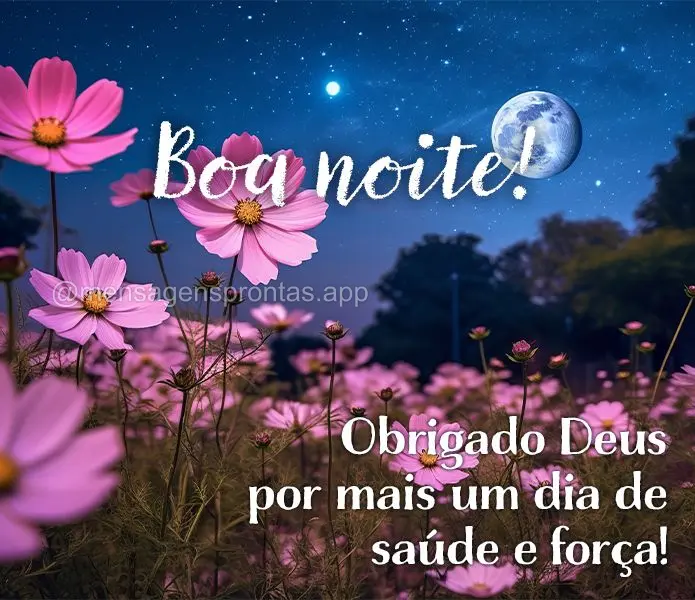 Obrigado Deus por mais um dia de saúde e força! Boa noite! 
