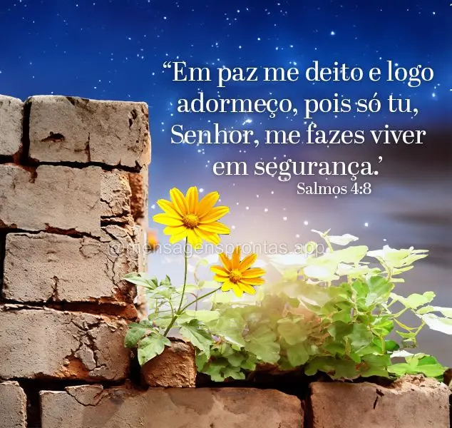 Em paz me deito e logo adormeço, pois só tu, Senhor, me fazes viver em segurança. Salmos 4:8 