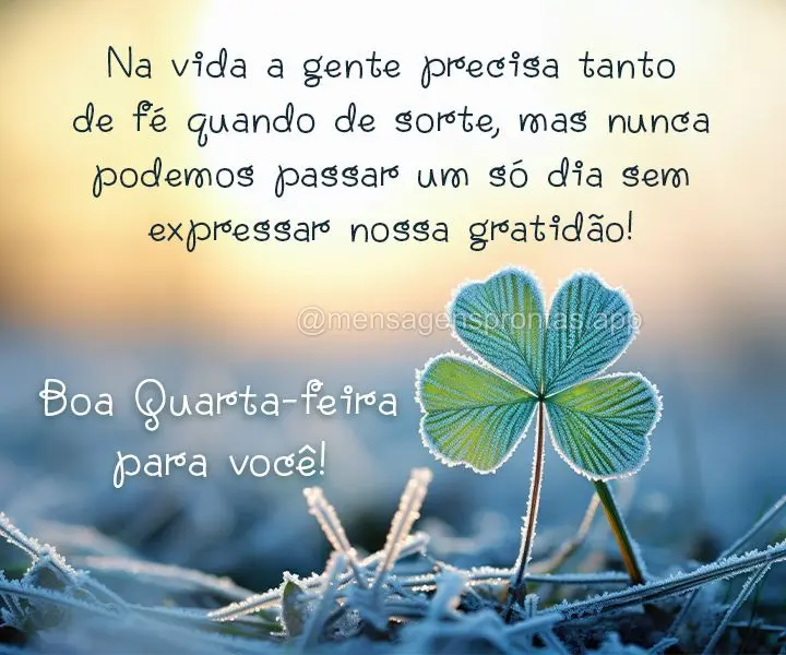 Na vida a gente precisa tanto de fé quando de sorte, mas nunca podemos passar um só dia sem expressar nossa gratidão! Boa Quarta-feira para você!