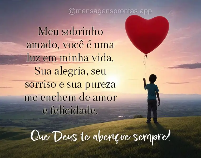 Meu sobrinho amado, você é uma luz em minha vida. Sua alegria, seu sorriso e sua pureza me enchem de amor e felicidade. Que Deus te abençoe sempre!