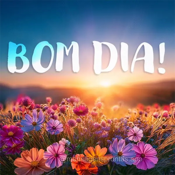 Bom dia!