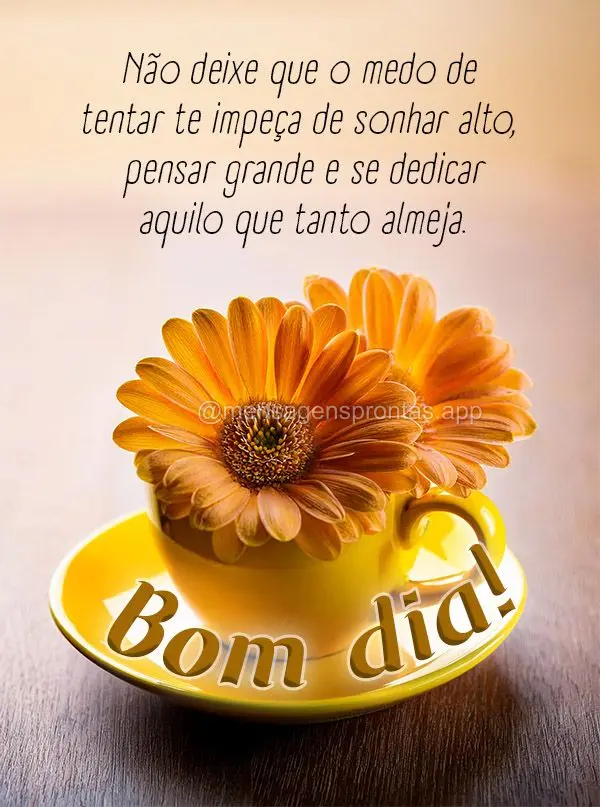 Não deixe que o medo de tentar te impeça de sonhar alto, pensar grande e se dedicar aquilo que tanto almeja.  Bom dia!