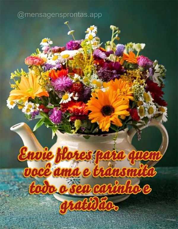 Envie flores para quem você ama e transmita todo o seu carinho e gratidão.