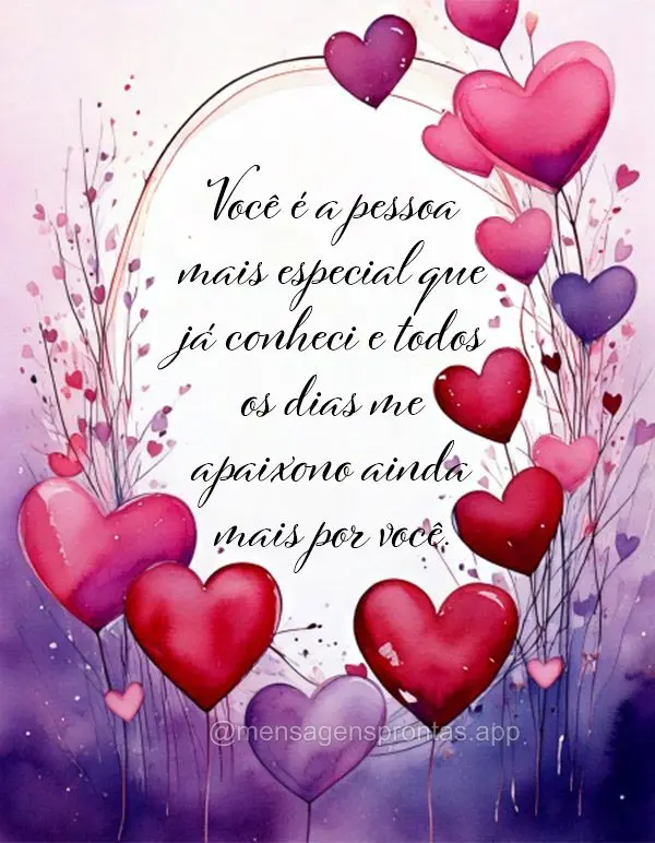 Você é a pessoa mais especial que já conheci e todos os dias me apaixono ainda mais por você.