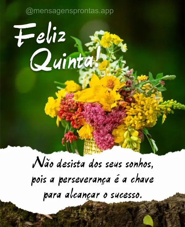 Não desista dos seus sonhos, pois a perseverança é a chave para alcançar o sucesso. Feliz Quinta!