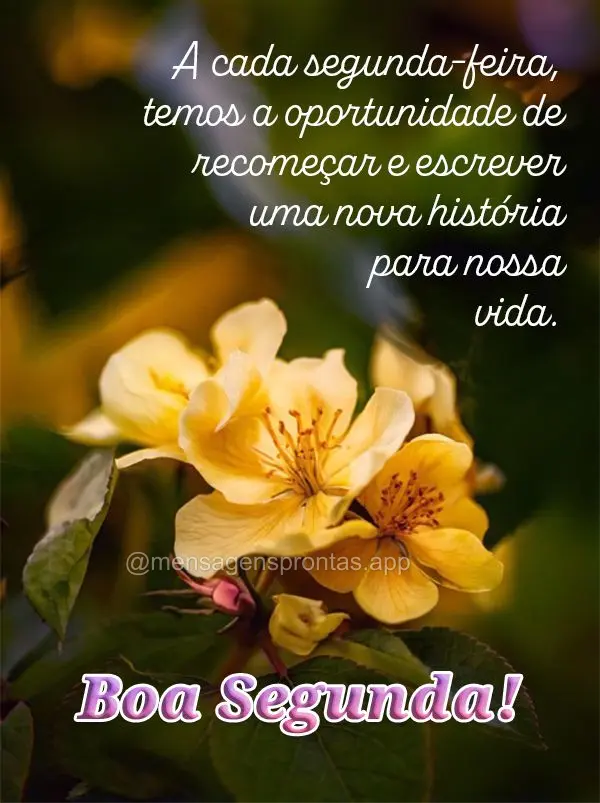 A cada segunda-feira, temos a oportunidade de recomeçar e escrever uma nova história para nossa vida. Boa Segunda!