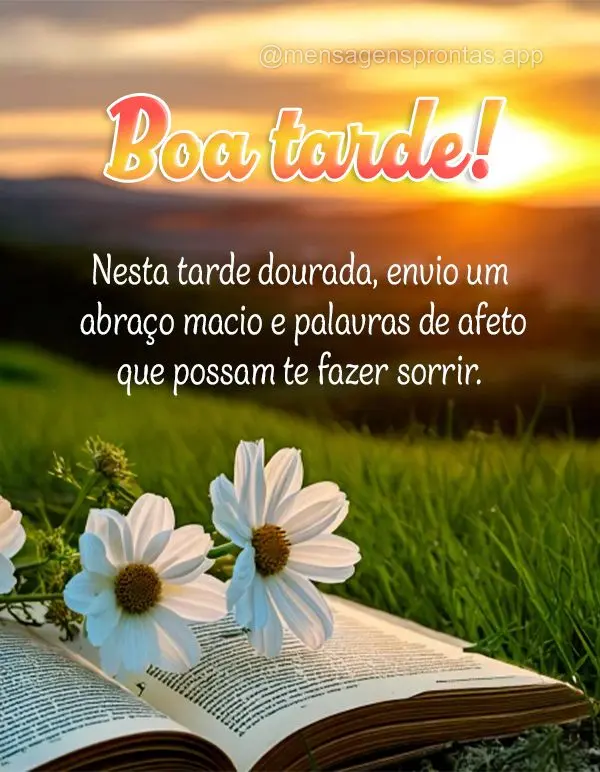 Nesta tarde dourada, envio um abraço macio e palavras de afeto que possam te fazer sorrir. Boa tarde!